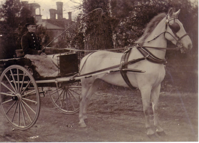 William Charles SOLE (1871-1948)
